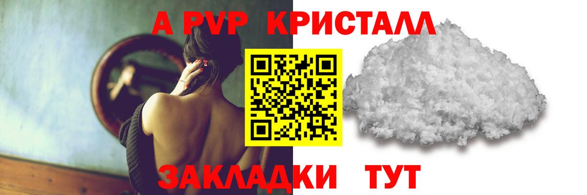 Альфа ПВП СК Вышний Волочёк