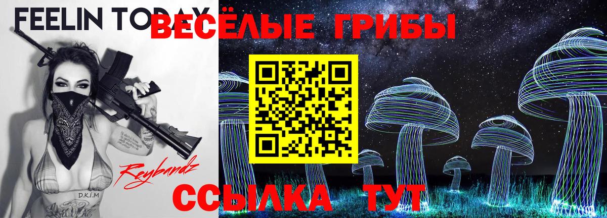 Галлюциногенные грибы GOLDEN TEACHER Вышний Волочёк