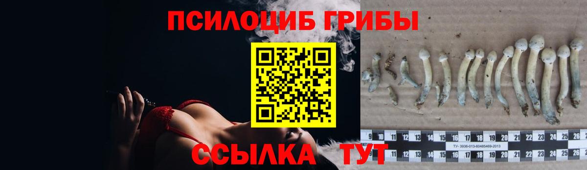 Псилоцибиновые грибы мухоморы  Галлюциногенные грибы Psilocybe  Вышний Волочёк  дарнет шоп  Вход с VPN 